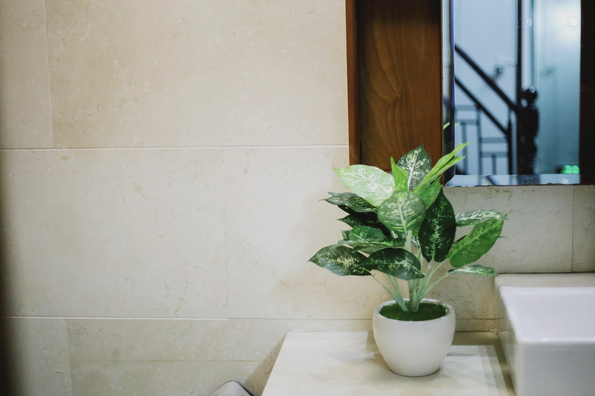 Oyo 708 The Cozi House - Homestay โฮจิมินห์ซิตี้ ภายนอก รูปภาพ